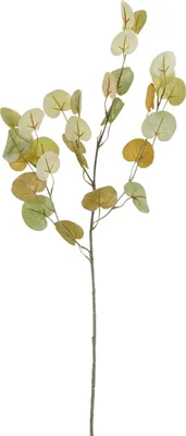 Produktbild von Mica Decorations Kunstpflanze Eukalyptuszweig 73 cm grün-braun