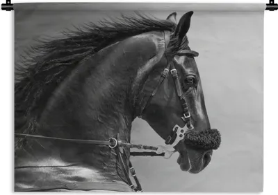 Produktbild von MuchoWow® Wandteppich Wandbehang Pferde - Schwarz - Porträt - Tiere 150x112.50 cm Tapisserie Dekoration Wandtuch - Wanddecke - Wandteppiche
