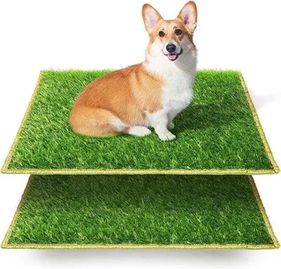 Immagine prodotto di Tappetino igienico per cani da interno, 63x51 cm, confezione da 2 pezzi, per cani di piccola e grande taglia