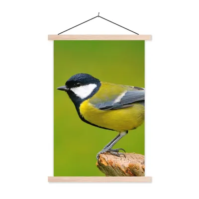 Produktbild von MuchoWow® Textilposter Vogel - Kohlmeise - Tiere - Grün 40x60 cm mit holzfarbenen Rahmen - Poster