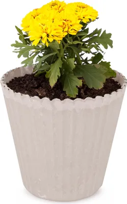 Immagine prodotto di Vaso da fiori sabbia beige scanalato come vaso per piante da esterno rotondo 13 cm