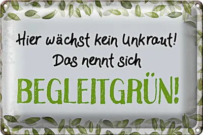 Produktbild von Blechschild Spruch 30x20cm wächst kein Unkraut Begleitgrün