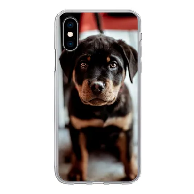 Produktbild von MuchoWow® Handyhülle Schutzhülle Hülle für iPhone X Jung - Hund - Kamera Silikon Softcase Handy Hülle - Handyhülle
