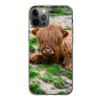 Produktbild von MuchoWow® Handyhülle Schutzhülle Hülle für iPhone 12 Pro Schottischer Highlander - Heu - Gras Silikon Softcase Handy Hülle - Abdeckung