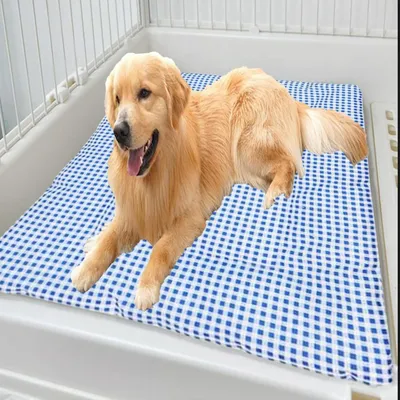 Immagine prodotto di Cuccia lavabile per cani e gatti, calda e morbida, colore blu, dimensioni 45 x 60 cm