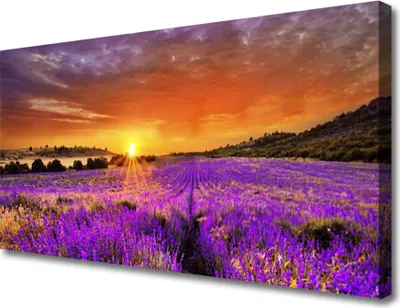 Produktbild von Tulup Leinwand-Bilder 100x50 Wandbild Canvas Kunstdruck Sonne Wiese Blumen Natur