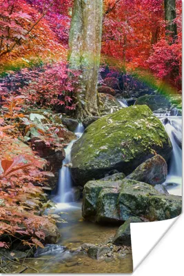 Produktbild von MuchoWow® Poster Regenbogen - Wasserfall - Bäume - Steine - Moos 60x90 cm - Wanddekoration
