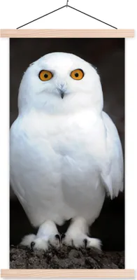 Produktbild von MuchoWow® Textilposter Schneeeule 60x120 cm mit holzfarbenen Rahmen - Holz