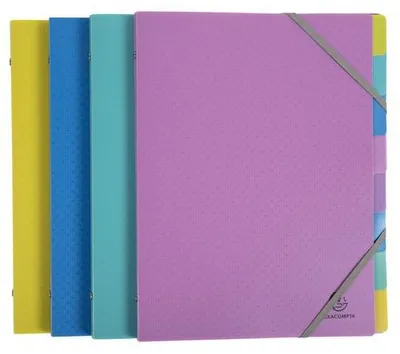 Obrázok produktu pre Exacompta 8x priečinok A4 PP elastický 3 chlopne 8 priehradiek rôzny 56190E
