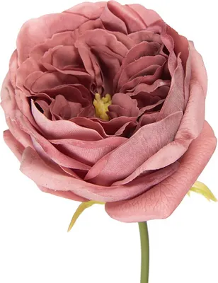 Obrázek produktu pro Clayre & Eef Umělý květ růže 43 cm růžová plastová