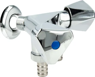A close-up studio shot of a chrome-plated faucet with two outlets and a blue button.