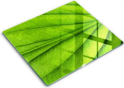 Produktbild von Glasschneideplatte - Herdabdeckplatte - 60x52 - Schneidebrett - Spritzschutz - Angelschnurblatt