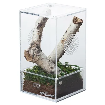 Image de Repti-Zoo Terrarium en acrylique facile à nettoyer 10x10x20cm Repti-Zoo