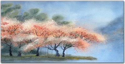 Produktbild von Coloray Bild aus Leinwand 120x60 Leinwand Dekoration - Baumblüten