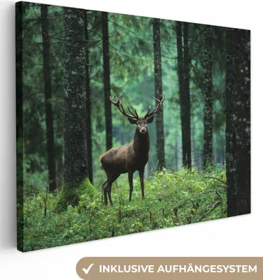 Produktbild von MuchoWow® - Leinwandbilder - Hirsche - Wald - Bäume - Tiere - Natur, Wandbild, Wanddeko Bilder Wohnzimmer, 80x60 cm