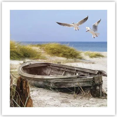 Produktbild von Poster - Poster ohne Rahmen - Strand Möwen £ódŸ - 50x50 cm - Wand Bild - Wanddeko - Wandbilder - Kunstposter - Wandposter - Bilder - Kunstdruck - Wanddekoration - Wandbild - P2XAC50x50-4170