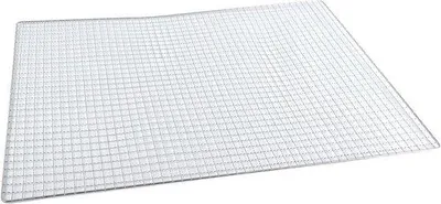 Productafbeelding van BBQ Grillrooster - Roestvrij Staal - Buiten Koken - Kruislingse Gaasstructuur - 60 x 40 cm - Zilver