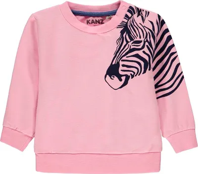 Produktbild von Babyrosa Langarmbluse Kanz
