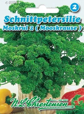 Artikelbild 1 von 'Petersilie Mooskrause 2 (35 g)' aus der Kategorie Petersiliensamen