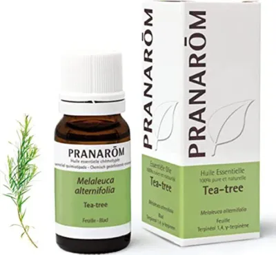Produktbild von Ätherisches Öl Pranarôm Aceite Esencial Teebaum 10 ml