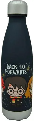 Produktbild von 650-ml-Flasche mit Hogwarts-Motiv für Harry-Potter-Fans