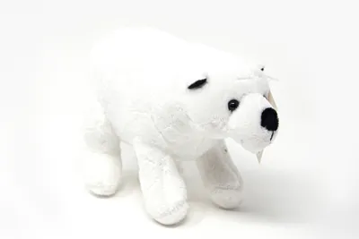 Image de Cornelissen - Doudou - Ours polaire - 20 cm