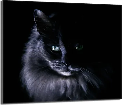 Obrázek produktu pro Kryt varné desky 60x52 kryt sklokeramické desky ochrana proti stříkající vodě skleněná deska deco prkénko na krájení, kočka černá