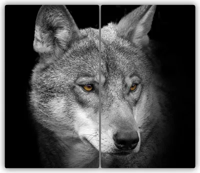 Produktbild von Tulup Glas-Herdabdeckplatte - 2x30x52cm - Glaskeramikkochfeld-Abdeckung Spritzschutz Zweiteilig Wolf