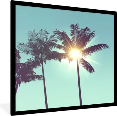 Produktbild von MuchoWow® Gerahmtes Poster Palmen - Sommer - Sonne 40x40 cm - Poster mit Schwarzem Bilderrahmen Wandposter Rahmen Foto Bilder - Mit Rahmen - Wanddekoration Schlafzimmer
