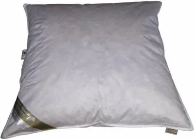 Produktbild von Betten Hofmann Kopfkissen 50x50 cm 200 g neue Daunen Daunenkissen Nackenkissen