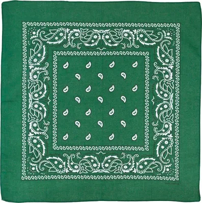 Produktbild von Bandana (US Halstuch) Paisley oliv