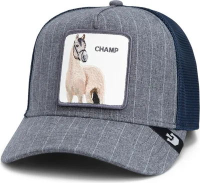 Produktbild von Goorin Bros. Suited Champ Trucker Cap Navy