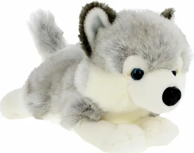 Produktbild von Pluschtier Welpe Husky Hund - weicher Pluschstoff - hochwertiges Stofftier - grau - 35 cm