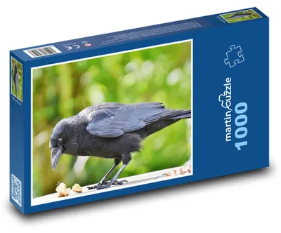 Obrázek produktu pro martinpuzzle - Puzzle 1000 - Vrána - pták