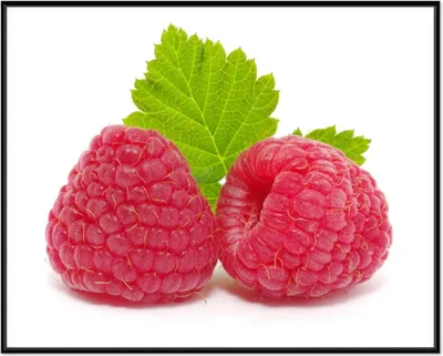 Produktbild von Wallario Wandbild Himbeeren mit grünem Blatt auf weißem Grund, Größe: 40,30 x 50,30 cm, Poster mit schwarzem Aluminiumrahmen