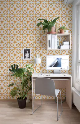 Produktbild von Coloray Fototapete 360x250 cm Latextapete Magicstick - Kreise orange kreis geometrisch