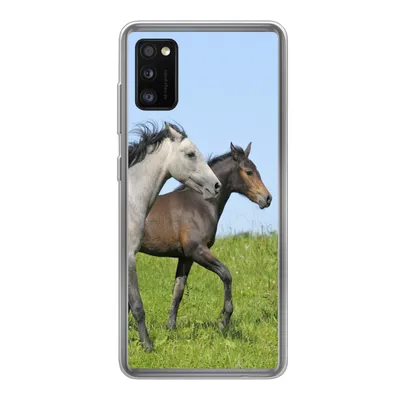 Produktbild von MuchoWow® Handyhülle Schutzhülle Hülle für Samsung Galaxy A41 Pferde - Tiere - Gras Silikon Softcase Handy Hülle - Mobiltelefon