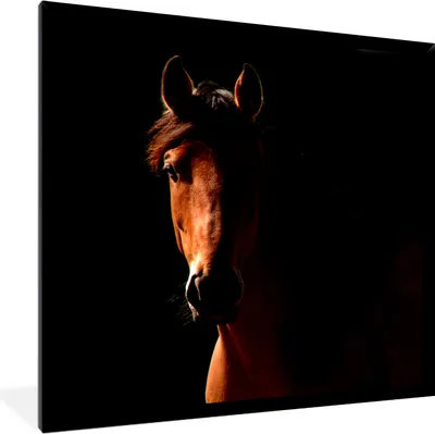 Produktbild von MuchoWow® Gerahmtes Poster Pferd - Licht - Porträt 40x40 cm - Poster mit Schwarzem Bilderrahmen Wandposter Rahmen Foto Bilder - Mit Rahmen - Wanddekoration Schlafzimmer