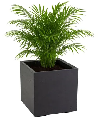 Immagine prodotto di HowHomely | Vaso per piante - Vaso da fiori - nero - 40 x 40 x 40 cm - Vaso da fiori su ruote - Pratico - Decorativo