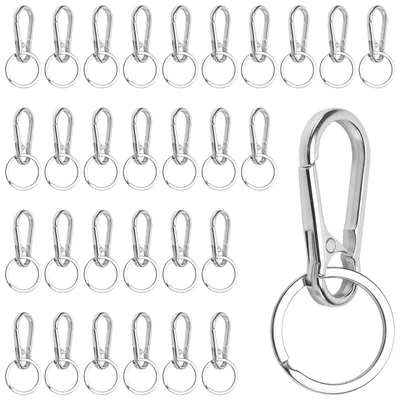Productafbeelding van Set van 30 Zilveren Karabijnhaak Sleutelhangers