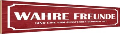 Produktbild von vianmo Holzschild 10x46 cm wahre Freunde Spruch Zitat