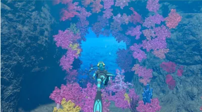A diver swims through a vibrant coral reef.