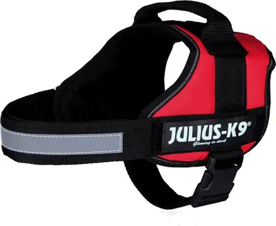 Immagine prodotto di Julius-K9 imbracatura elettrica per cani per bambini rossa XS-S, taglia: 26 - 36 cm