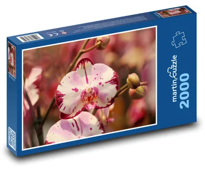 Obrázek produktu pro martinpuzzle - Puzzle 2000 - Květy orchideje