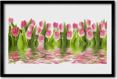 Produktbild von Bild 60x40 MDF-Rahmen Wandkunst Pflanze Tulpen Natur