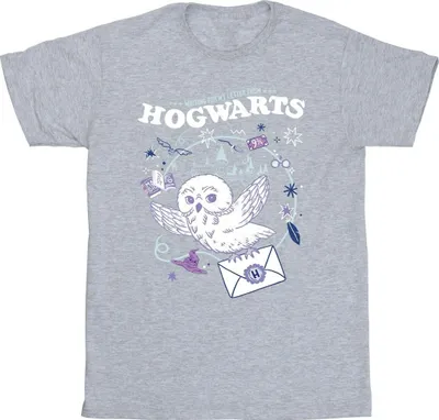 Produktbild von Harry Potter - "Letter From Hogwarts" T-Shirt für Herren BI30741 (M) (Grau)