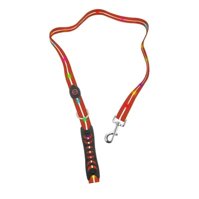 Image de Laisse de signalisation à LED pour chiens de grande et moyenne taille, rouge