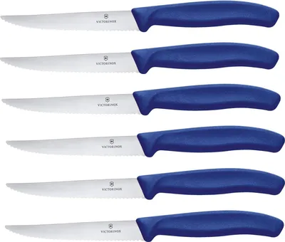 Image de Victorinox Swiss Classic set de couteaux à steak 6 pièces bleu