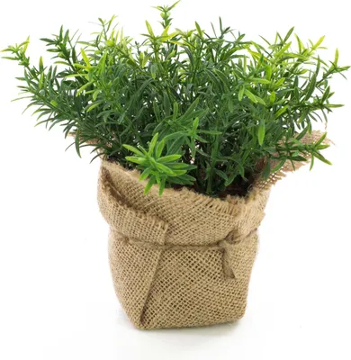 Produktbild von artplants.de Künstlicher Thymian Vitus im Jutesack, grün, 18cm - Kunstpflanze - Kräuter Pflanze
