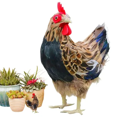 Immagine prodotto di Statuette decorative a forma di gallina per giardino e casa
